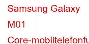 Samsung Galaxy M01 Core-mobiltelefonfunksjoner